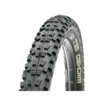 schwalbe wicked will